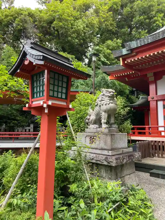 自由が丘熊野神社の狛犬