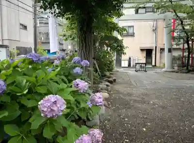 矢先稲荷神社(東京都)