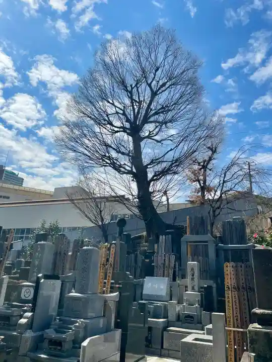 宗興寺の{uncategorized: "未分類", other: "その他", undefined: "問題あり", building: "その他建物", grave: "お墓", sacred_gate: "鳥居", guardian: "狛犬", statue: "像", buddha: "仏像", history: "歴史", nature: "自然", garden: "庭園", animal: "動物", pagoda: "塔", temizu: "手水舎", mountain_gate: "山門・神門", sanctuary: "本殿・本堂", subordinate: "末社・摂社", art: "芸術", scenery: "景色", jizo: "地蔵", ema: "絵馬", goshuin: "御朱印", omikuji: "おみくじ", items: "授与品その他", amulet: "お守り", goshuincho: "御朱印帳", eats: "食事", festival: "お祭り", votive_dance: "神楽", shichigosan: "七五三参", wedding: "結婚式", experience: "体験その他", initially: "初詣", around: "周辺", anti_infection: "感染症対策"}