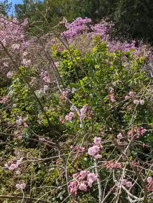 日向大神宮(京都府)