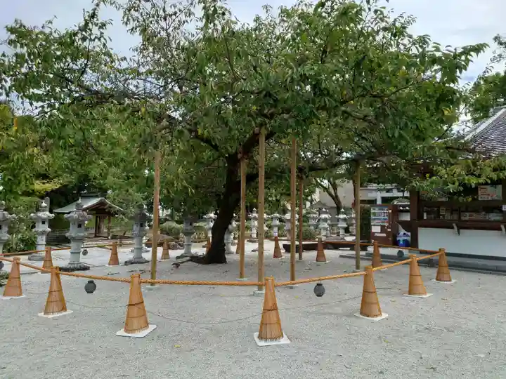 伊和志津神社の自然