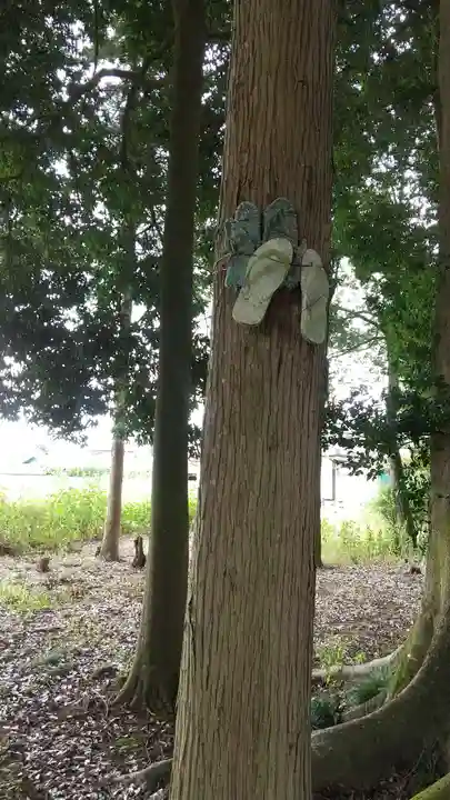大杉神社(栃木県)