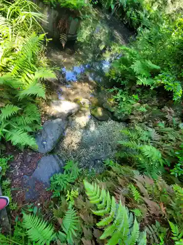 白髭神社(栃木県)