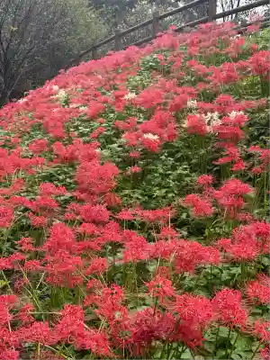 高麗神社(埼玉県)