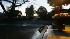 尾張大國霊神社（国府宮）の狛犬