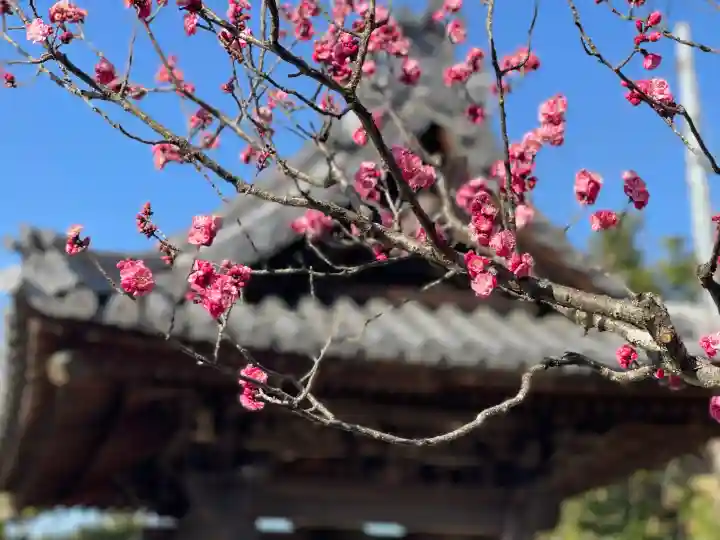 誓昌院の{uncategorized: "未分類", other: "その他", undefined: "問題あり", building: "その他建物", grave: "お墓", sacred_gate: "鳥居", guardian: "狛犬", statue: "像", buddha: "仏像", history: "歴史", nature: "自然", garden: "庭園", animal: "動物", pagoda: "塔", temizu: "手水舎", mountain_gate: "山門・神門", sanctuary: "本殿・本堂", subordinate: "末社・摂社", art: "芸術", scenery: "景色", jizo: "地蔵", ema: "絵馬", goshuin: "御朱印", omikuji: "おみくじ", items: "授与品その他", amulet: "お守り", goshuincho: "御朱印帳", eats: "食事", festival: "お祭り", votive_dance: "神楽", shichigosan: "七五三参", wedding: "結婚式", experience: "体験その他", initially: "初詣", around: "周辺", anti_infection: "感染症対策"}