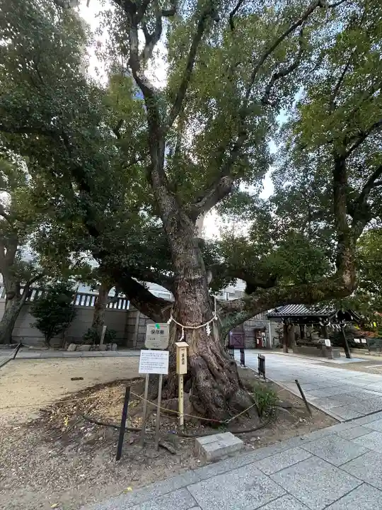 難波神社(大阪府)