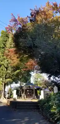 国府台天満宮(千葉県)