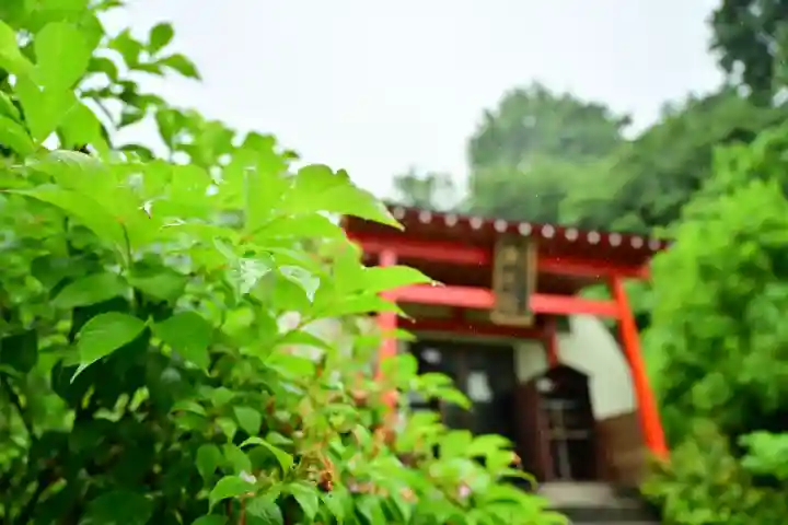 高龍神社 奥之院(新潟県)