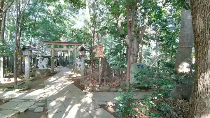 駒木諏訪神社(千葉県)