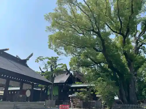 和泉國一之宮　大鳥大社の{uncategorized: "未分類", other: "その他", undefined: "問題あり", building: "その他建物", grave: "お墓", sacred_gate: "鳥居", guardian: "狛犬", statue: "像", buddha: "仏像", history: "歴史", nature: "自然", garden: "庭園", animal: "動物", pagoda: "塔", temizu: "手水舎", mountain_gate: "山門・神門", sanctuary: "本殿・本堂", subordinate: "末社・摂社", art: "芸術", scenery: "景色", jizo: "地蔵", ema: "絵馬", goshuin: "御朱印", omikuji: "おみくじ", items: "授与品その他", amulet: "お守り", goshuincho: "御朱印帳", eats: "食事", festival: "お祭り", votive_dance: "神楽", shichigosan: "七五三参", wedding: "結婚式", experience: "体験その他", initially: "初詣", around: "周辺", anti_infection: "感染症対策"}