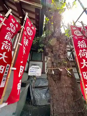 諏訪神社の自然
