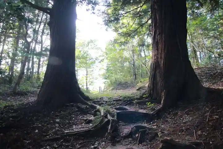 多賀神社の景色
