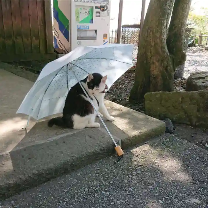 唐澤山神社の動物