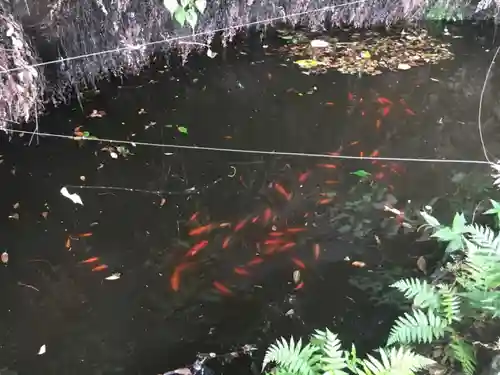 銭洗弁財天宇賀福神社の庭園