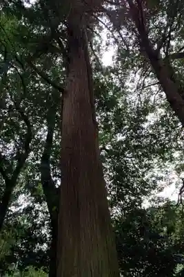 星の宮神社(愛知県)