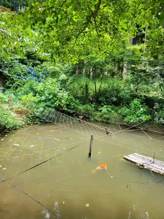 観音寺(京都府)