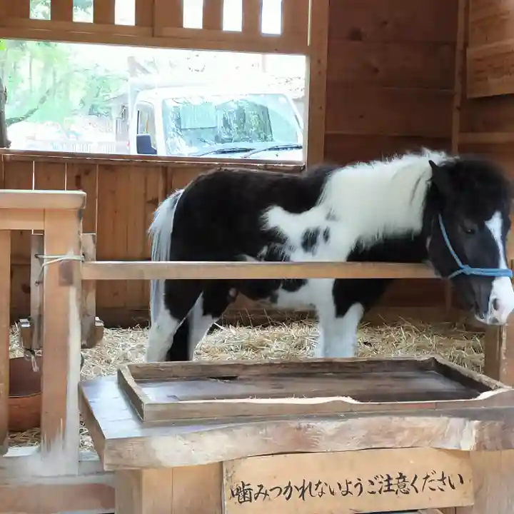 平塚八幡宮(神奈川県)