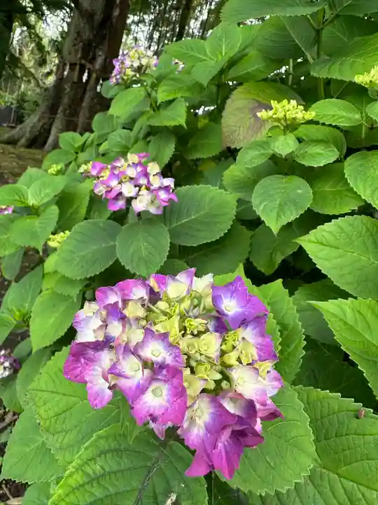 水戸八幡宮(茨城県)
