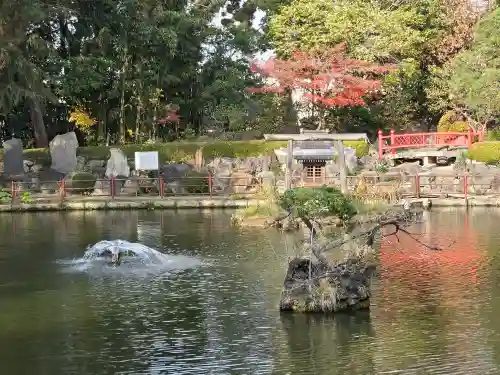 越ヶ谷久伊豆神社(埼玉県)