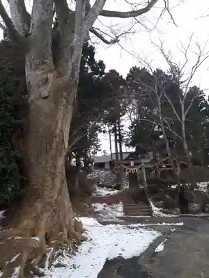 立木八幡神社のその他建物