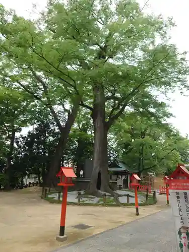 上野総社神社の自然