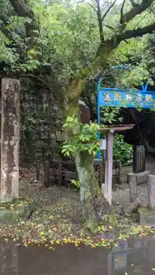 玉野御嶽神社(愛知県)