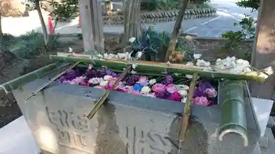 北本氷川神社の手水舎