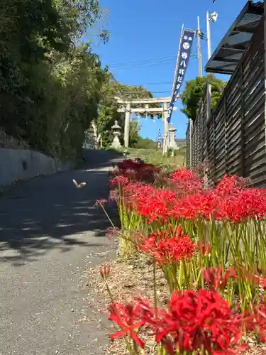 住吉神社(兵庫県)