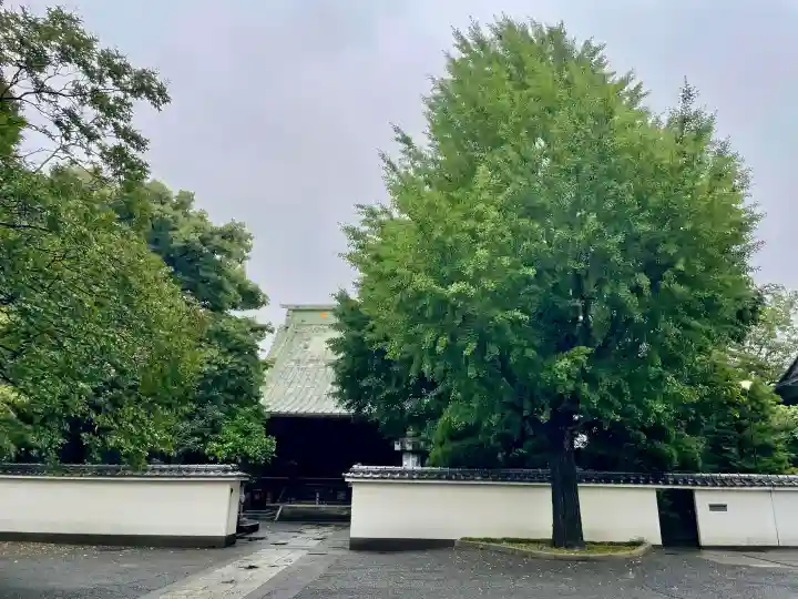 圓蔵寺(埼玉県)
