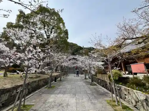 福祥寺（須磨寺）(兵庫県)