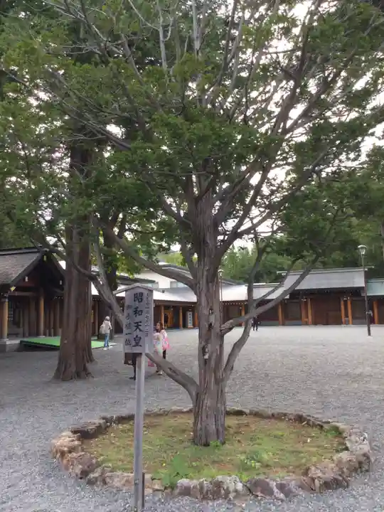 北海道神宮の自然