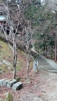 大山寺(神奈川県)