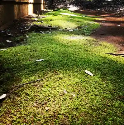 沼尾神社の自然