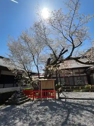 熊野那智大社(和歌山県)