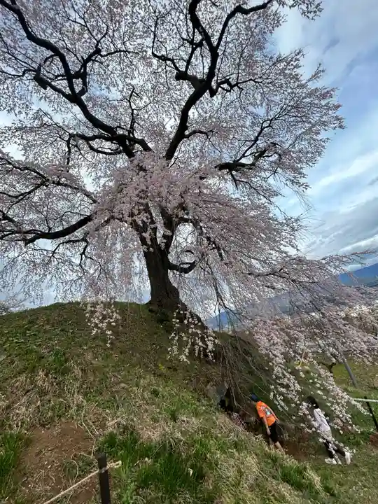 麻績神社(長野県)