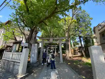 自由が丘熊野神社の鳥居