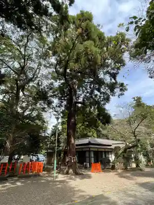 息栖神社のその他建物