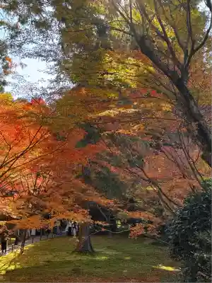 三千院門跡(京都府)