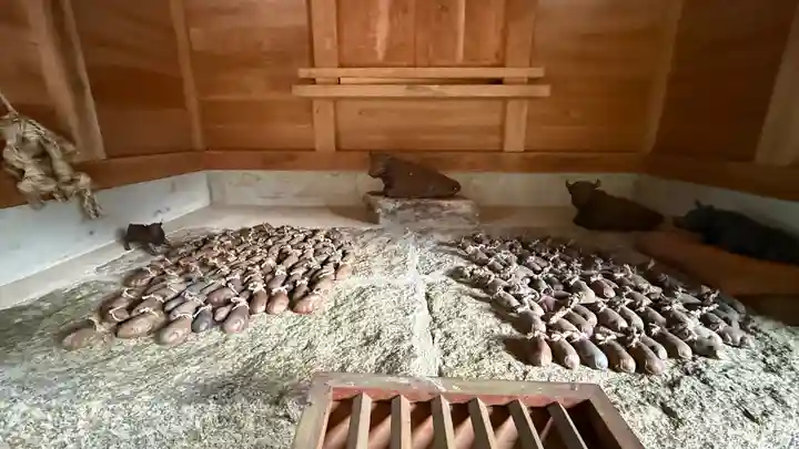 舟城神社(兵庫県)