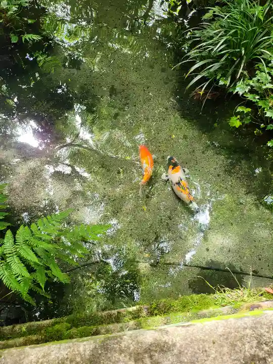 光明寺瑠璃光院(京都府)