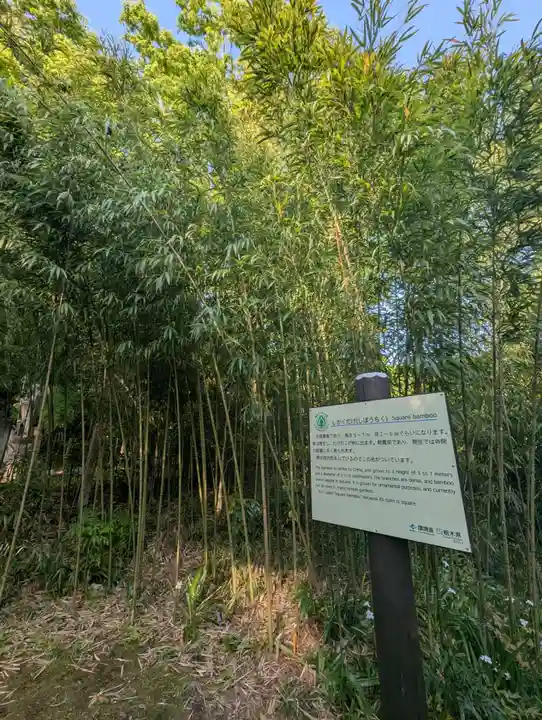 西明寺(栃木県)