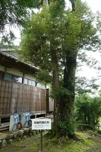 小野神社の自然