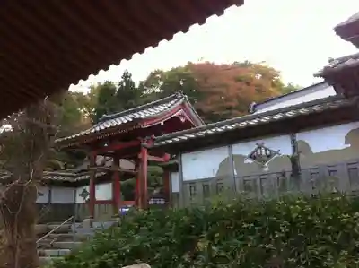 専称寺の山門・神門