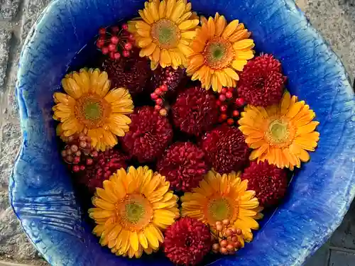 川越八幡宮(埼玉県)