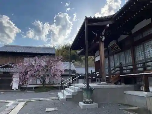 大妙寺(京都府)