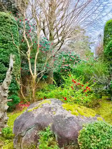 大聖寺（土浦大師不動尊）の庭園