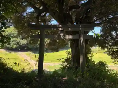 飯綱神社(千葉県)