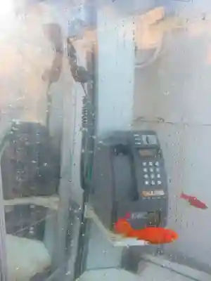 郡山八幡神社(奈良県)