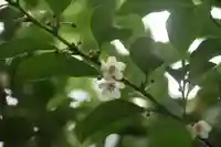 晴門田神社(福島県)